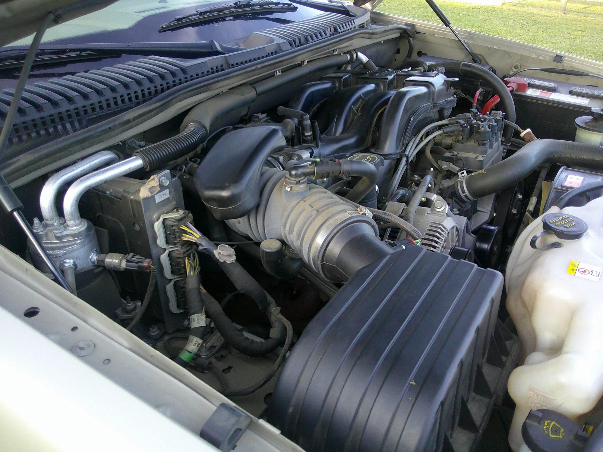 View of the engine bay showing intake manifold and air box.