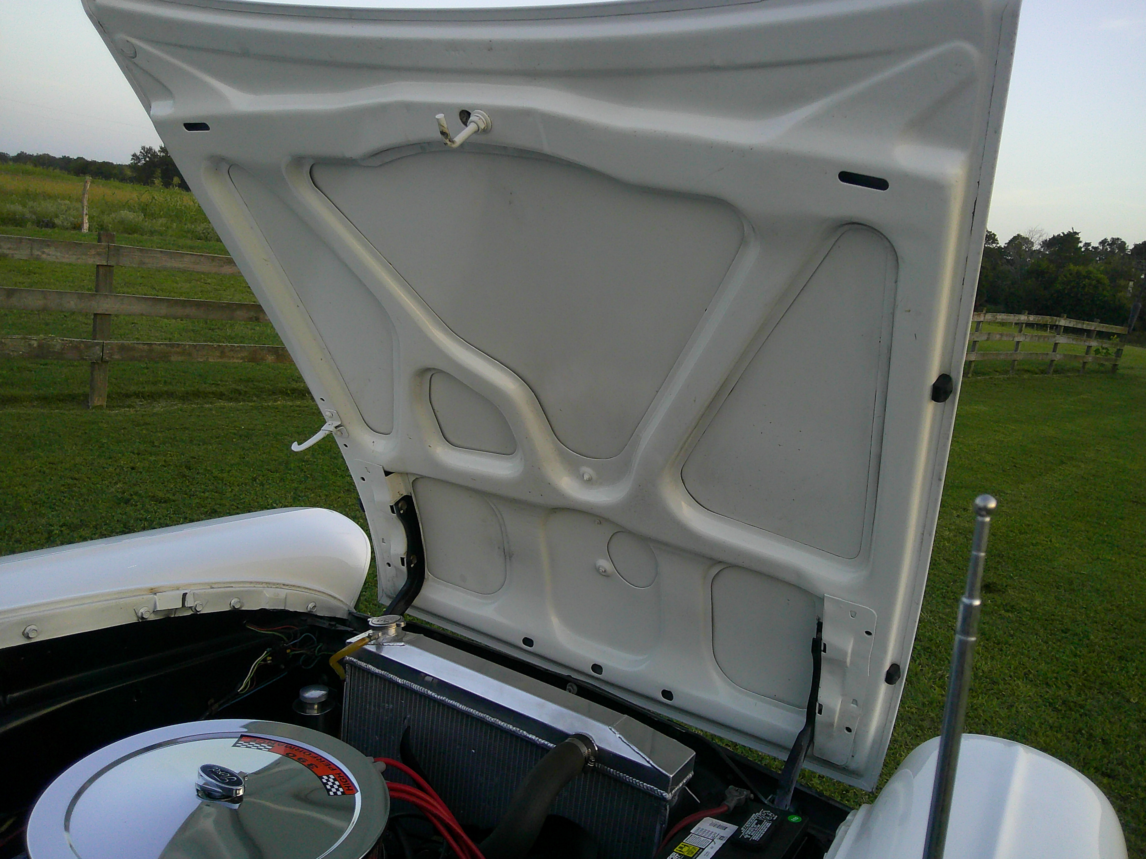 Under-hood view showing radiator and engine bay components