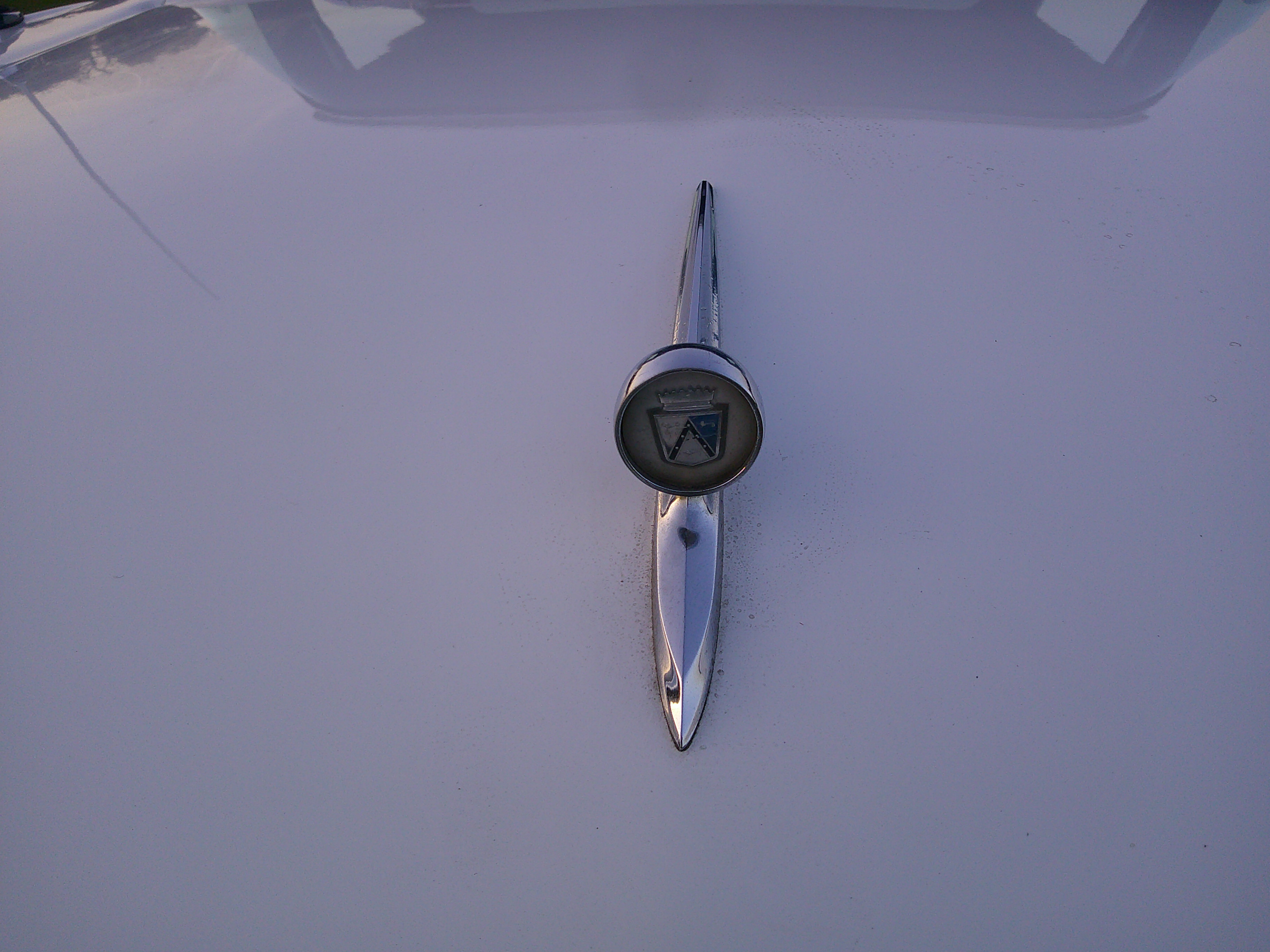 Chrome hood ornament and emblem on white paint.