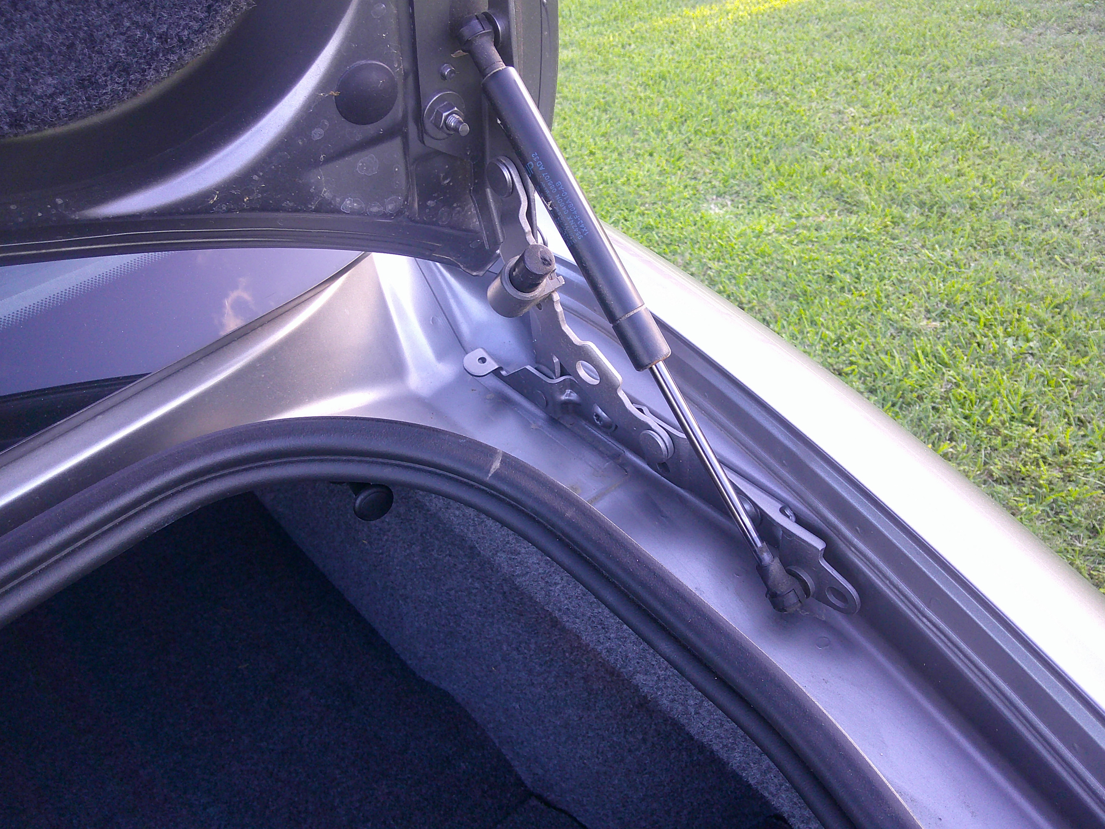 Trunk lid hinge and gas strut assembly.