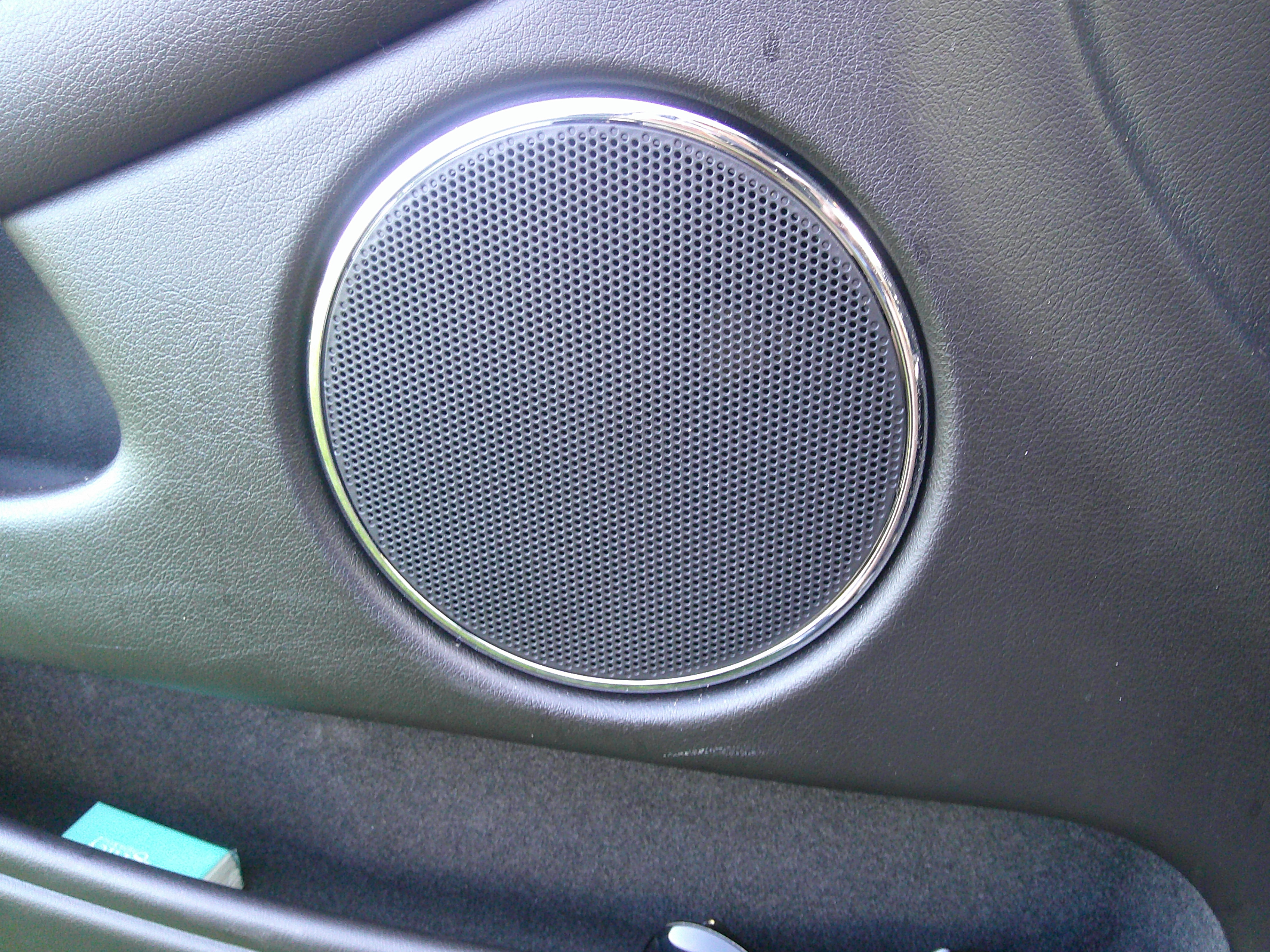 Close-up of the door-mounted speaker and grille.