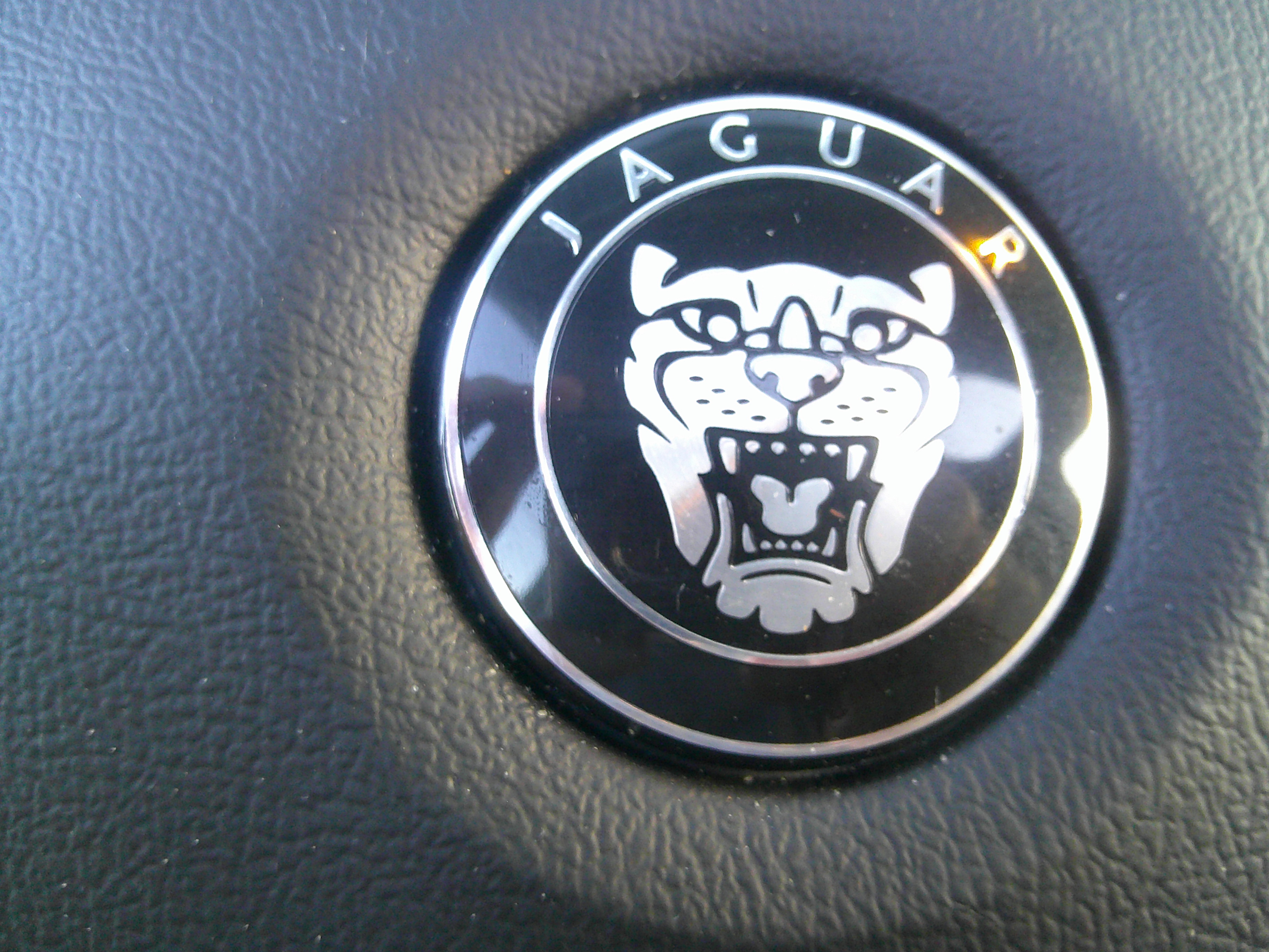 Close-up of the Jaguar logo on the steering wheel horn button.