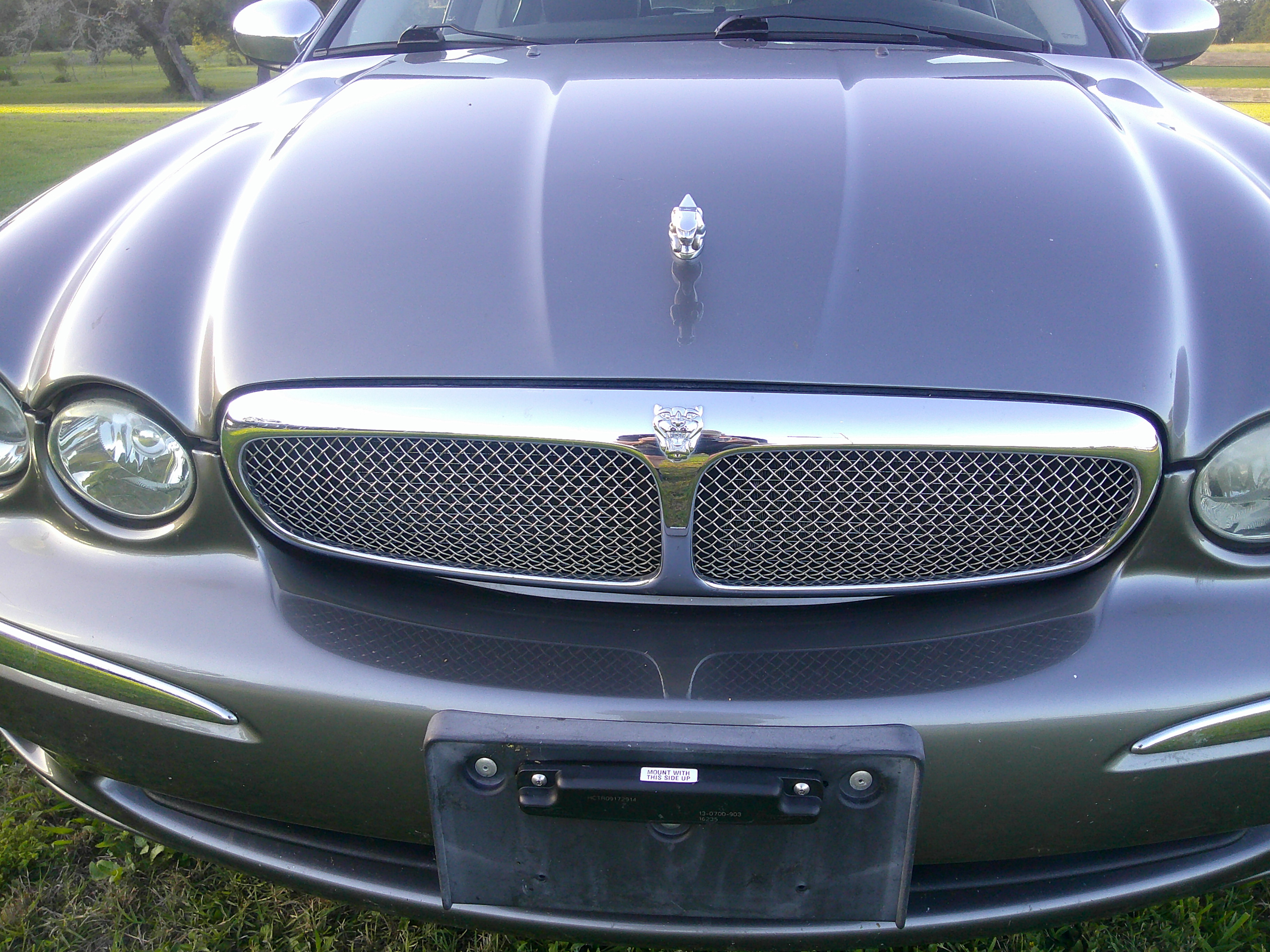 Front view of grey Jaguar showing grille, hood ornament, and headlights.