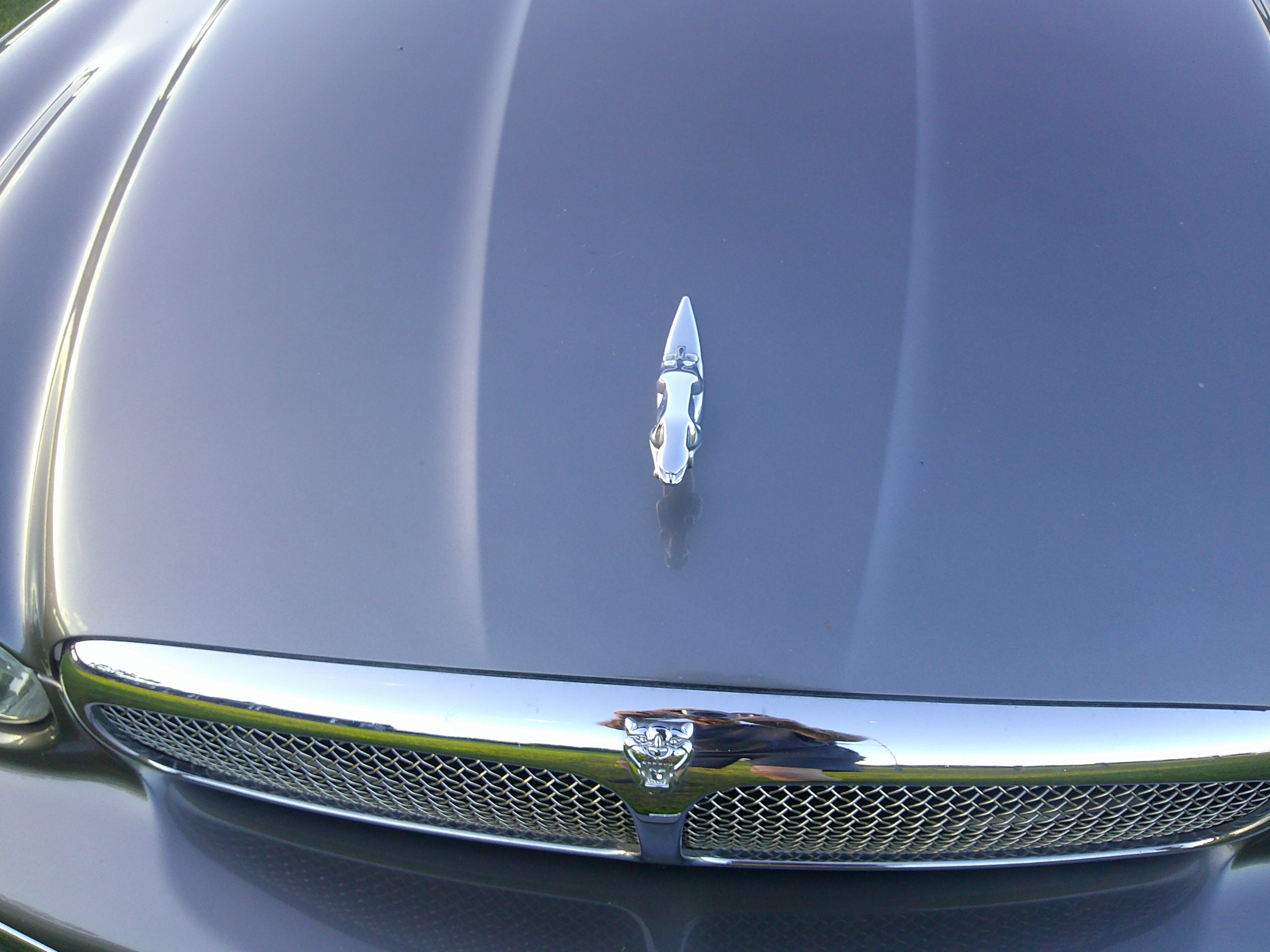 Close-up of Jaguar hood leaper ornament and front grille badge